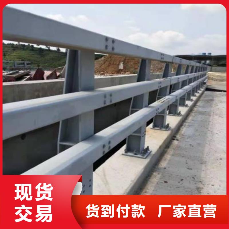 供应不锈钢复合管道路护栏的销售厂家
