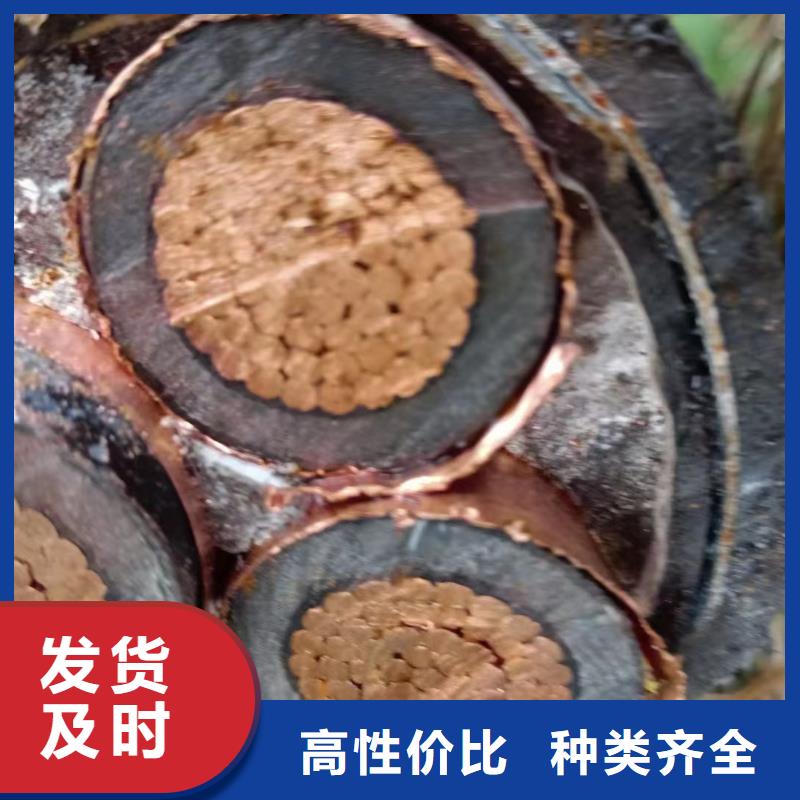 低压电缆回收价格行情厂家现货