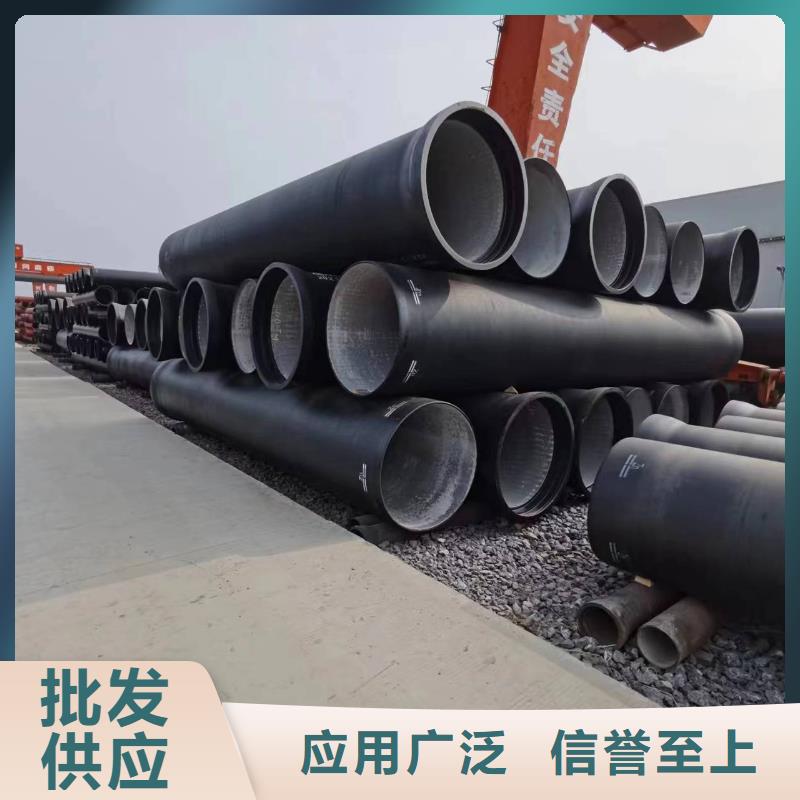 临高县柔性式DN450铸铁管