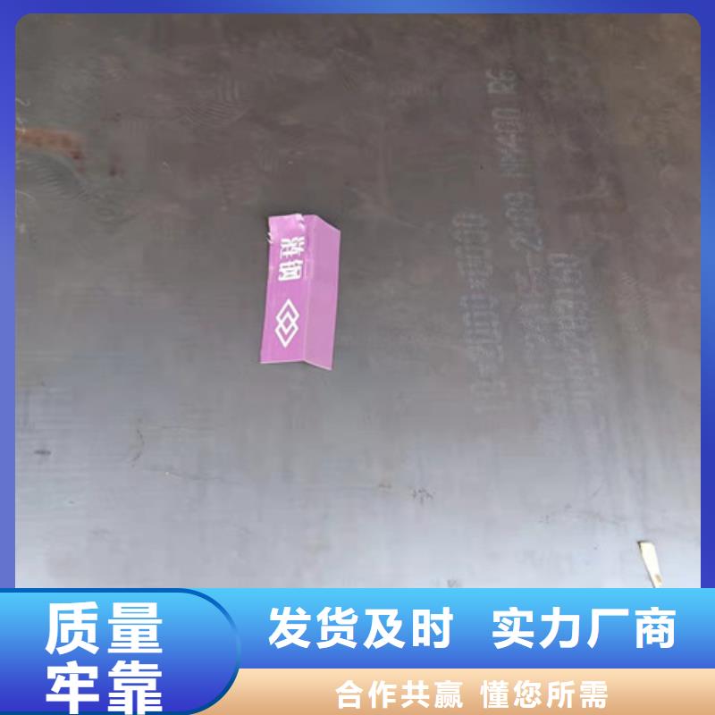 档尘板耐酸钢板	种类齐全