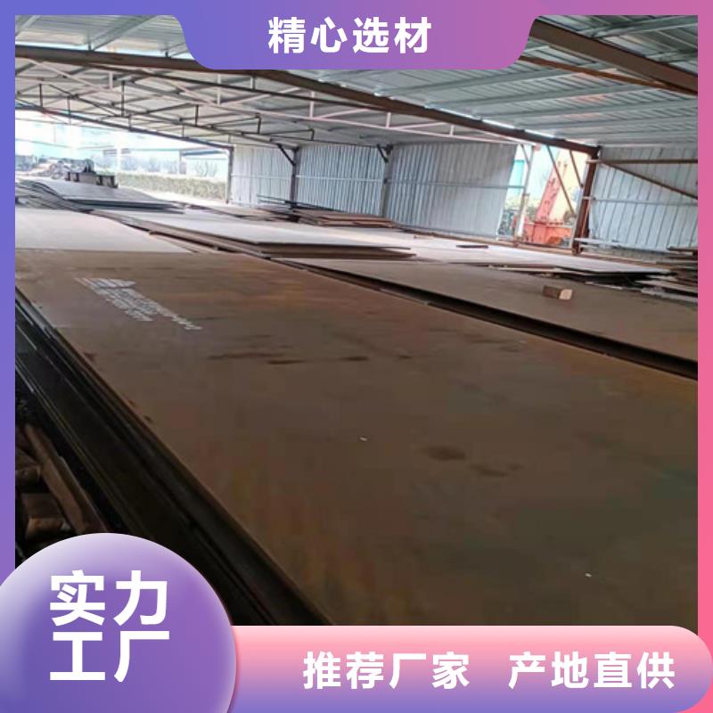 档尘板耐酸钢板	种类齐全