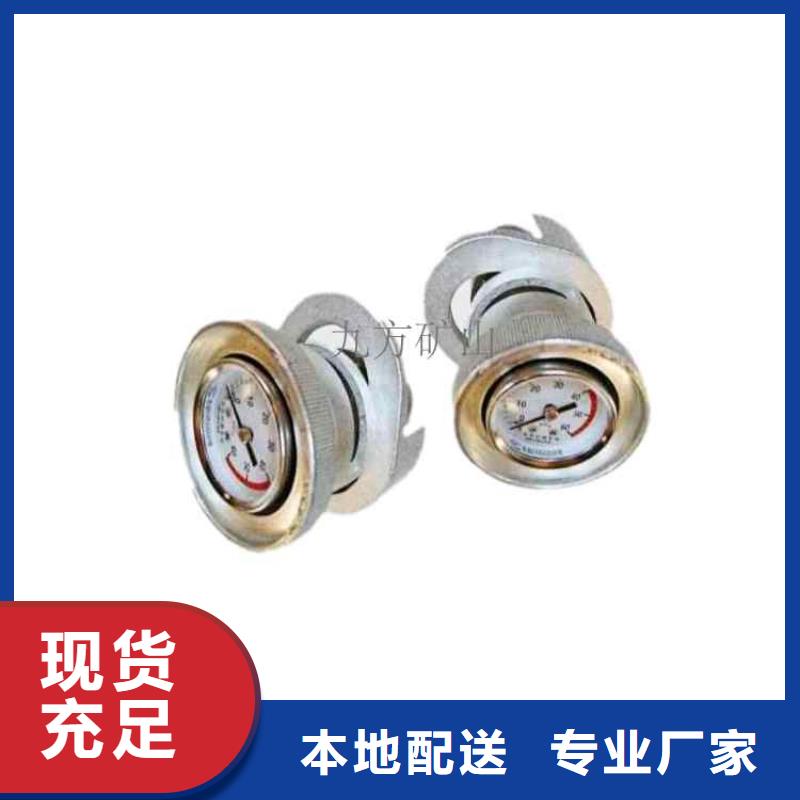 单体支柱测压仪顶板离层仪丰富的行业经验