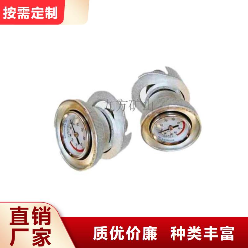 单体支柱测压仪顶板离层仪丰富的行业经验