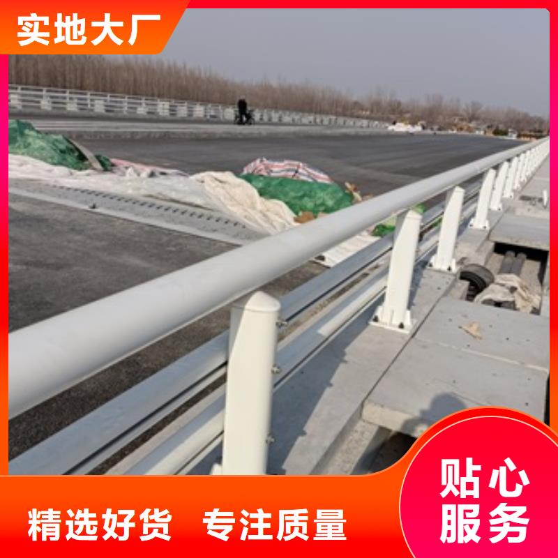 护栏【桥梁防撞护栏】厂家直销省心省钱