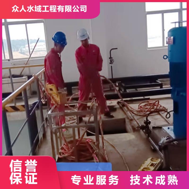 水下-沉管施工优质服务