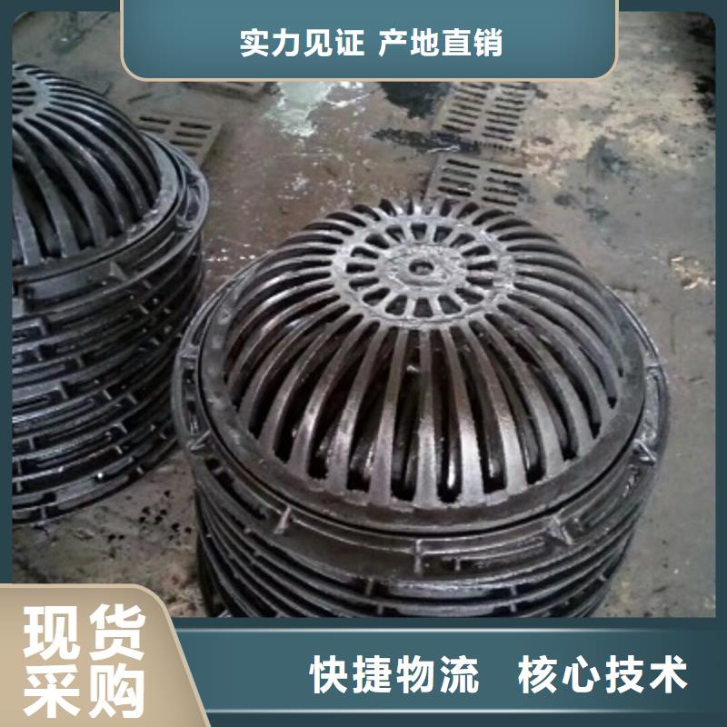 铸造@~球墨铸铁篦子（长篦子）