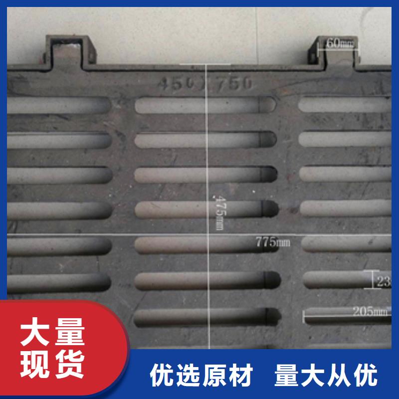 、/球墨铸铁篦子（长篦子）