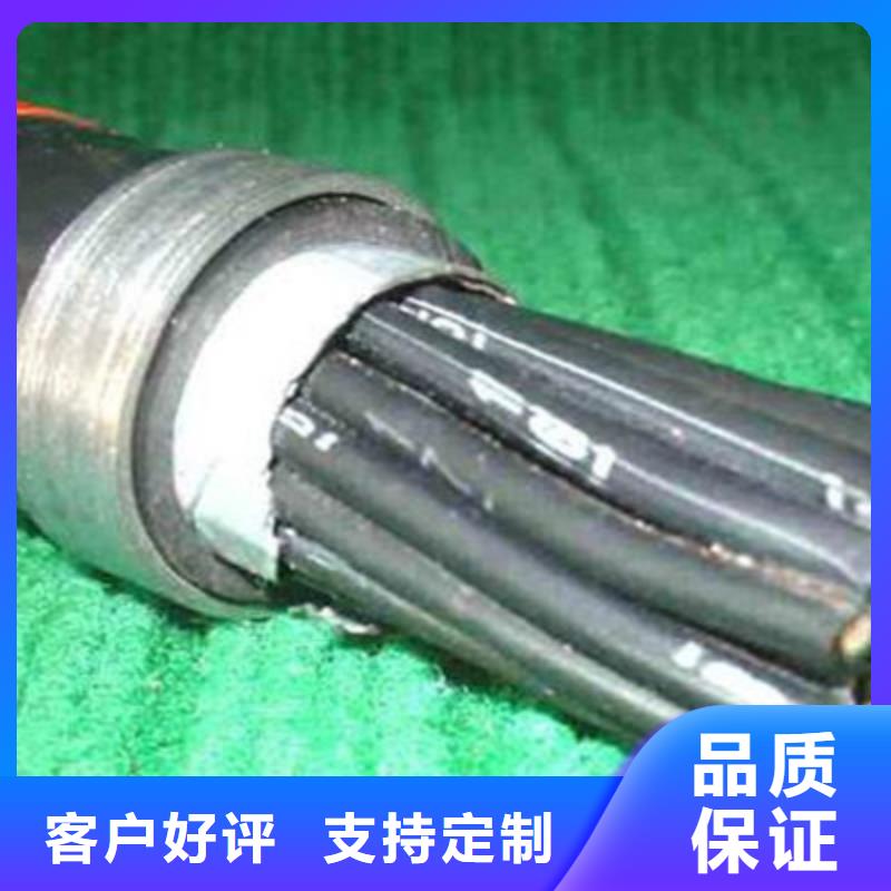 特种电缆计算机电缆专注品质