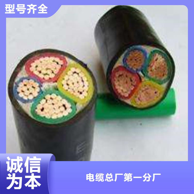 特种电缆控制电缆现货齐全售后无忧