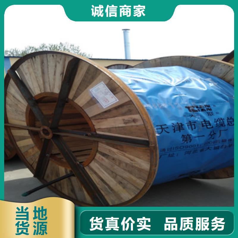 阻燃铠装屏蔽网线ZRA-HSGWPP226对0.4