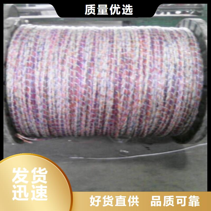 阻燃铠装屏蔽网线ZRA-HSGWPP226对0.4