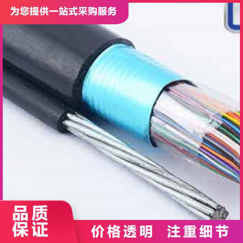 通信电缆信号电缆品质保证实力见证
