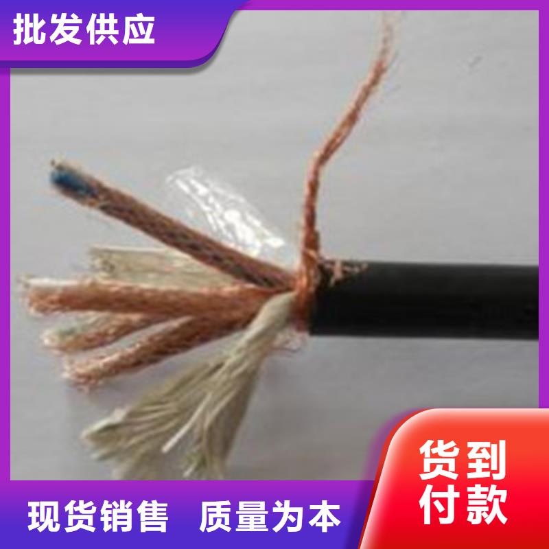 JYPVRP铠装计算机电缆-JYPVRP铠装计算机电缆全国配送
