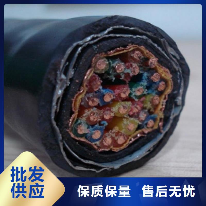 低烟无卤计算机电缆WDZ-ZRA-DJYJP3VP3-92全国送货上门