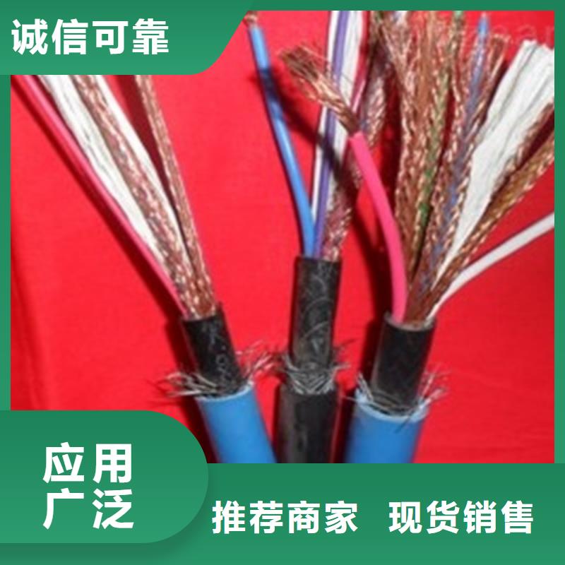 JYPVRP铠装计算机电缆-JYPVRP铠装计算机电缆全国配送