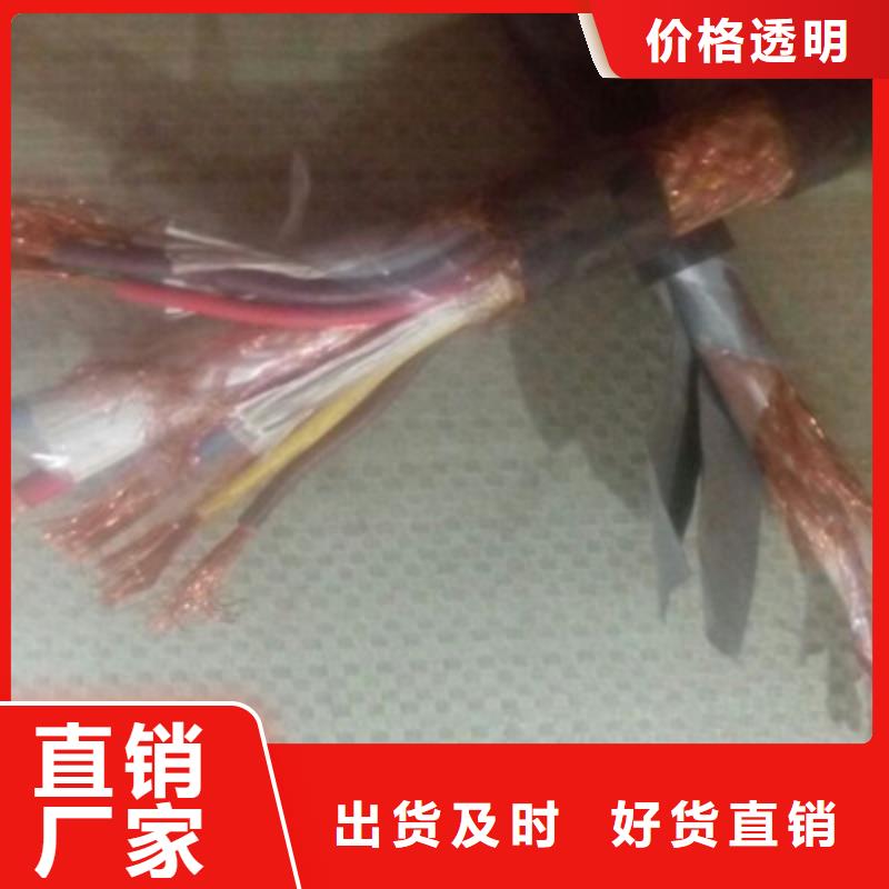 耐火计算机电缆NH-HBIYP2YVZ-III1X2X1.5