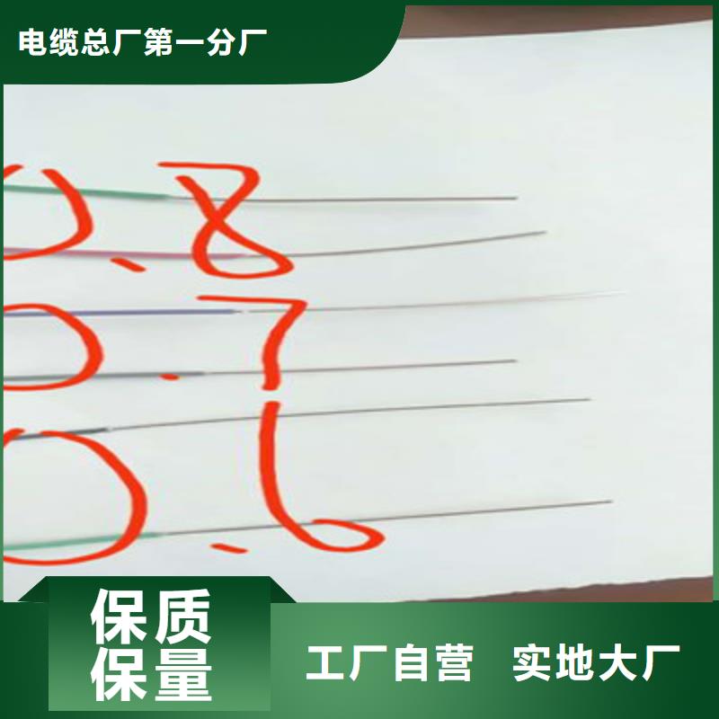 铁路信号电缆视频-铁路信号电缆_四川省攀枝花市市场覆盖盐边|米易|成都|德阳|南充|宜宾等