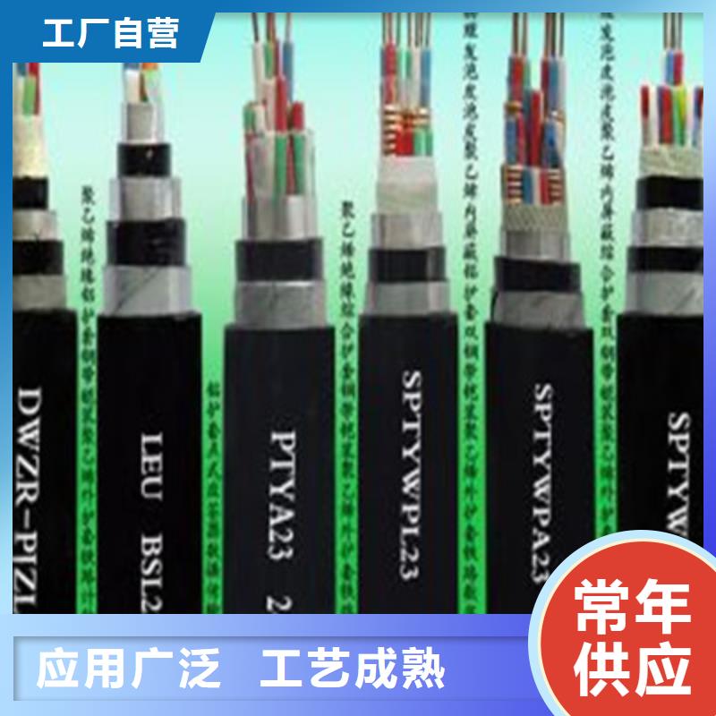 铁路信号电缆信号电缆厂家定制