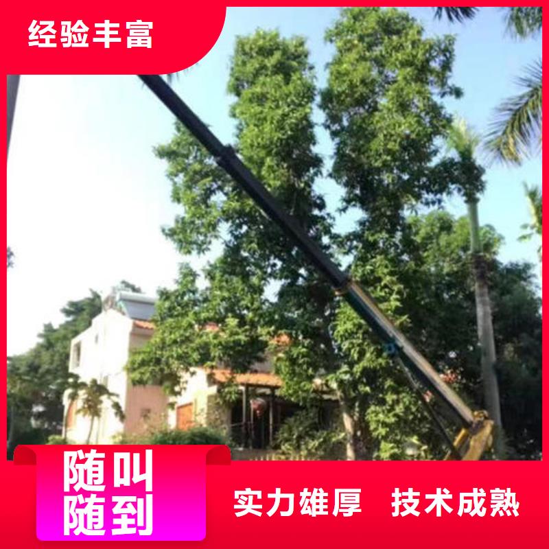小型电动吊机遥控本地出租公司
