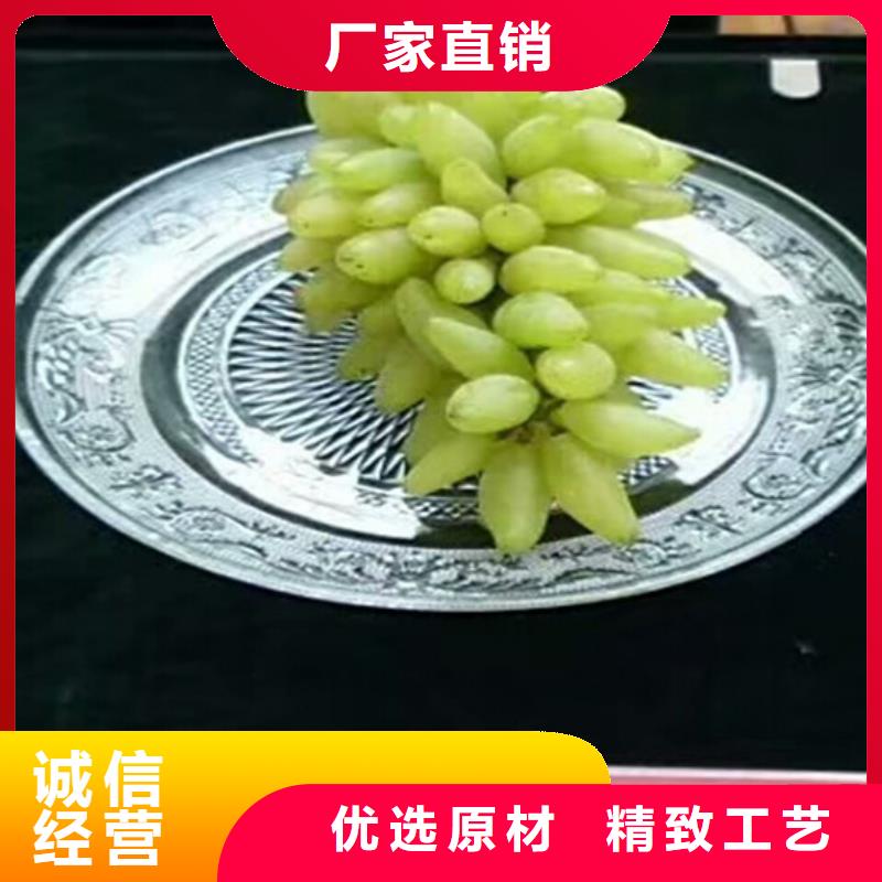 无核白鸡心葡萄苗团队