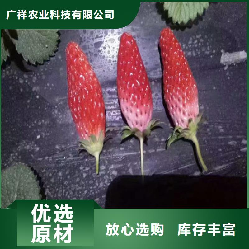 东方市草莓苗品种亩产多少