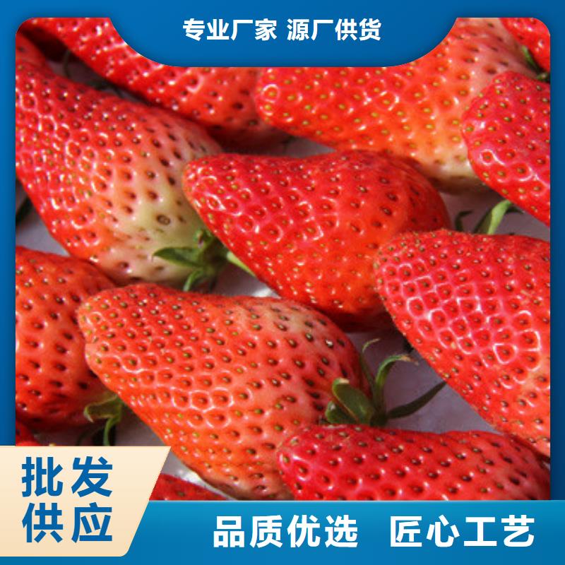 广祥桃树苗基地【草莓苗】 樱桃苗基地诚信厂家k257.com