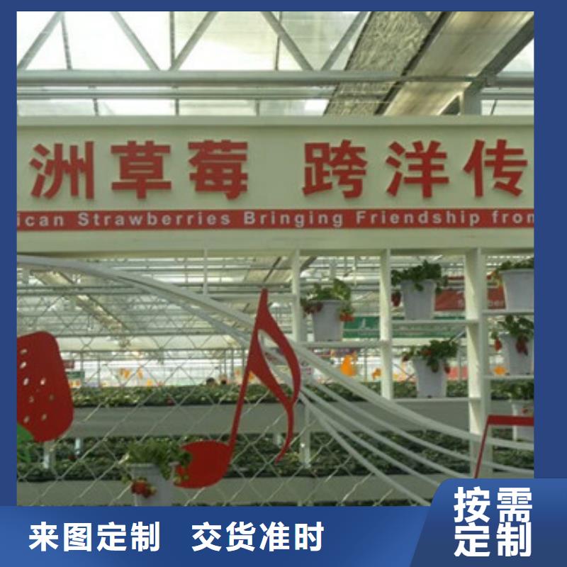 草莓苗黄宝石梨树苗质检合格发货
