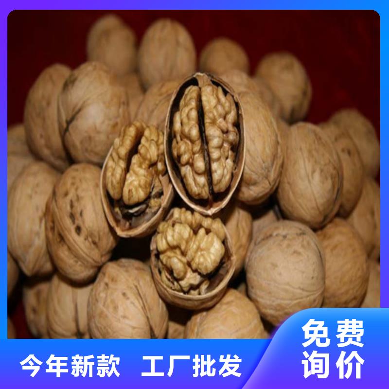 核桃苗【桃树苗】量大从优