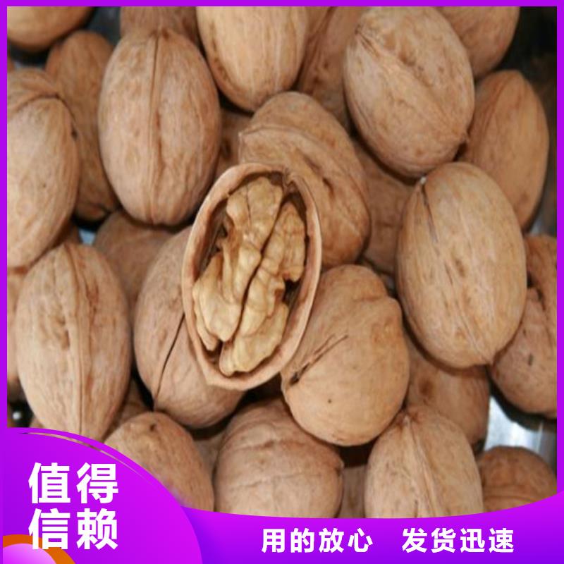 核桃苗【梨树苗基地】厂家售后完善