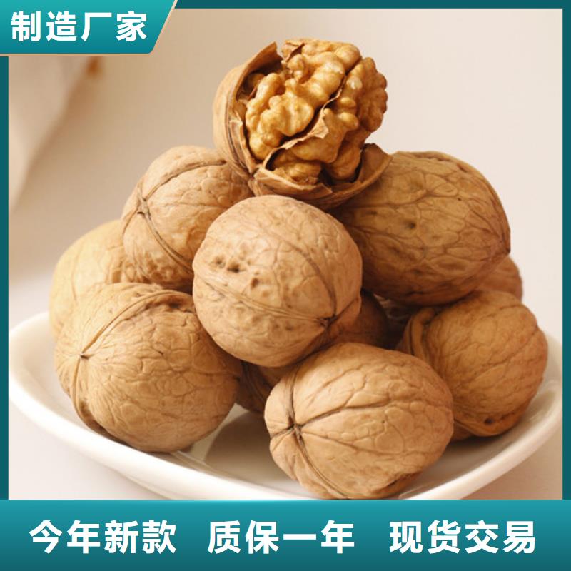 核桃苗,莫妮卡西梅树苗品质优选