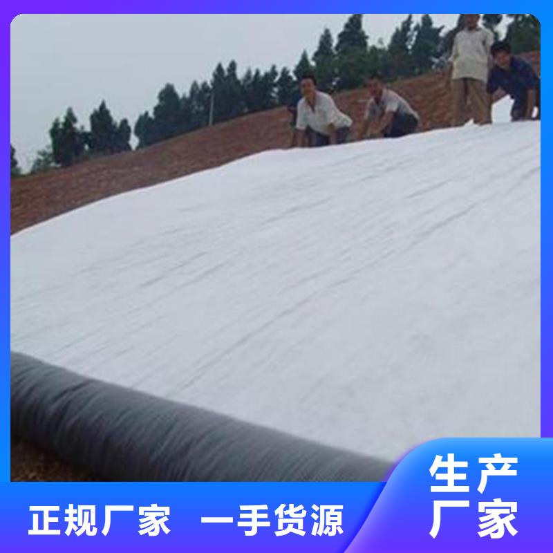 膨润土防水毯软式透水管优质原料