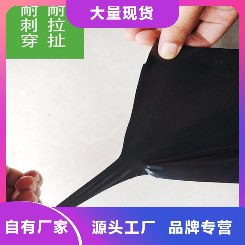土工膜玻璃纤维土工格栅工期短发货快