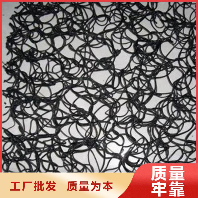 通风降噪丝网双向塑料土工格栅好产品不怕比