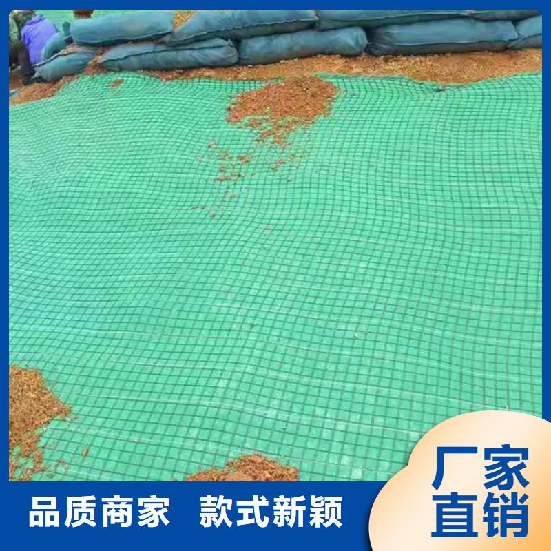 植物纤维毯水保抗冲生态毯