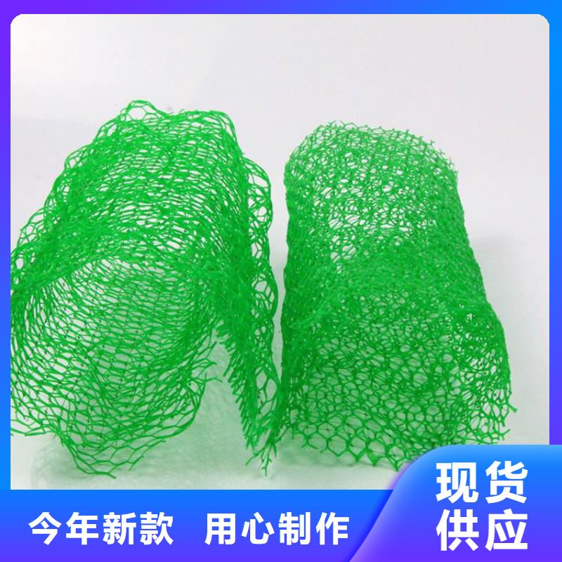 EM3固土三维护坡植草网