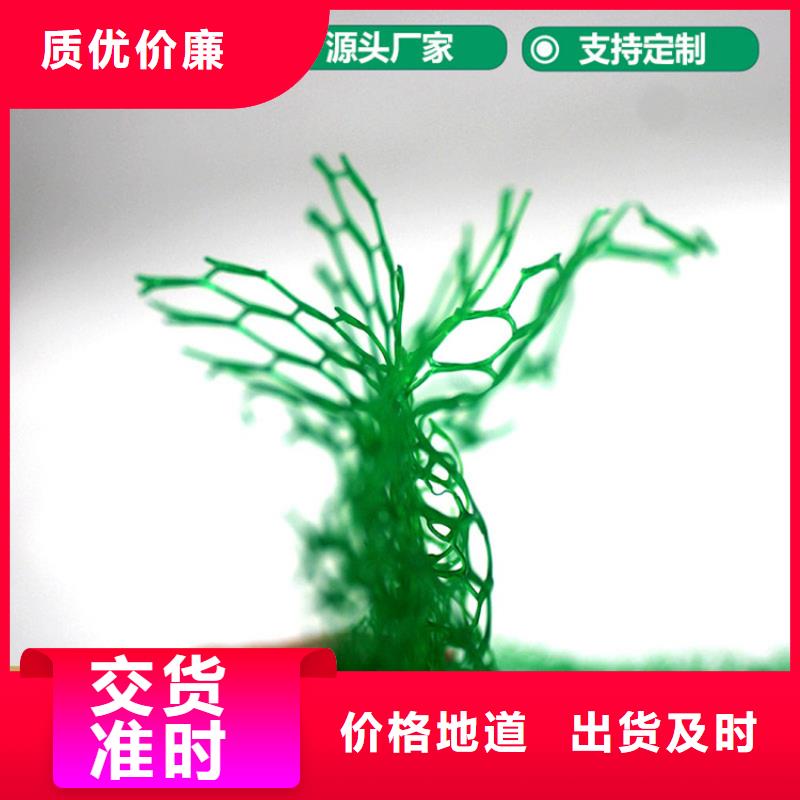 EM3固土三维护坡植草网