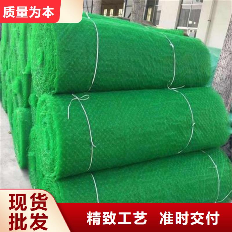 三维植被网塑料土工格栅产地直供