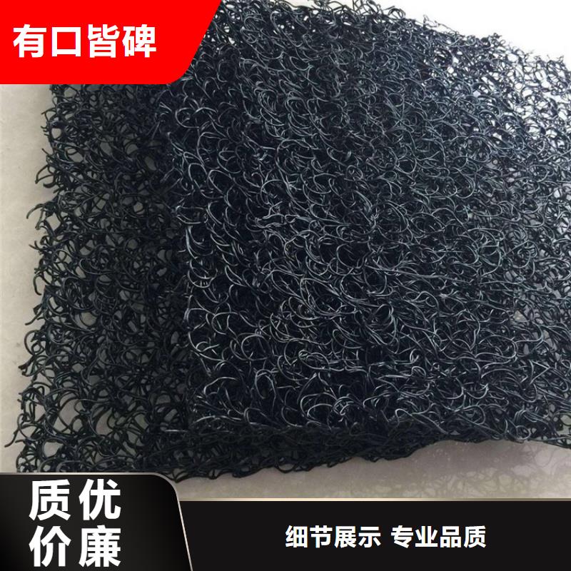 土工席垫_土工格栅诚信商家服务热情