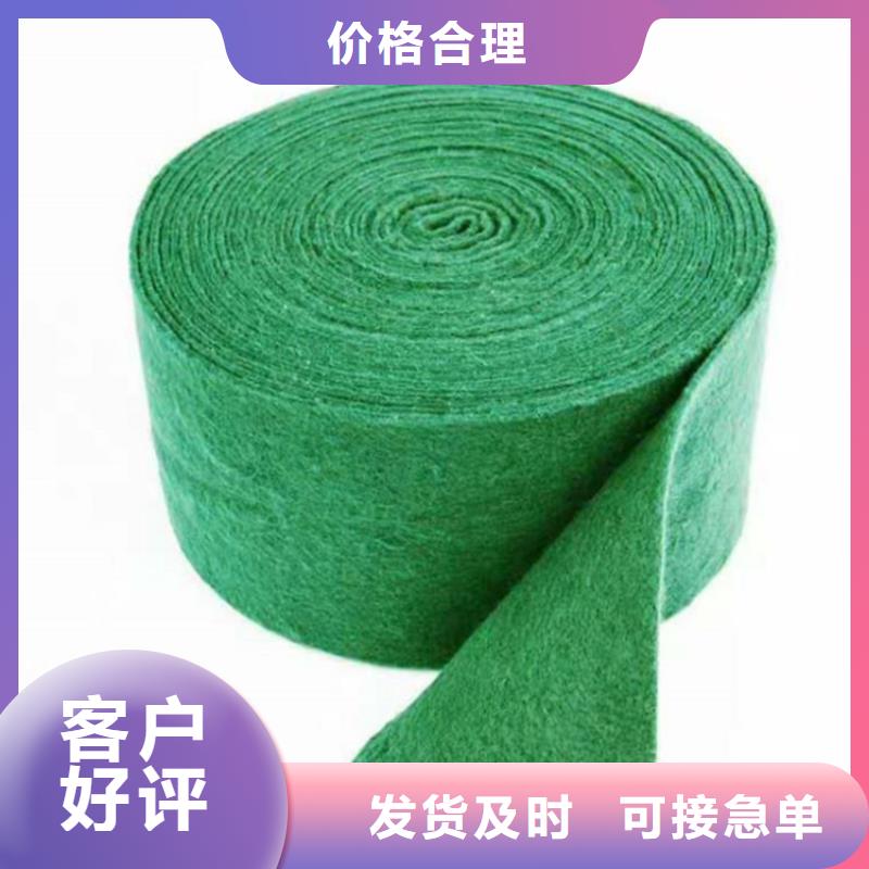 裹树布_防渗膜源头厂家