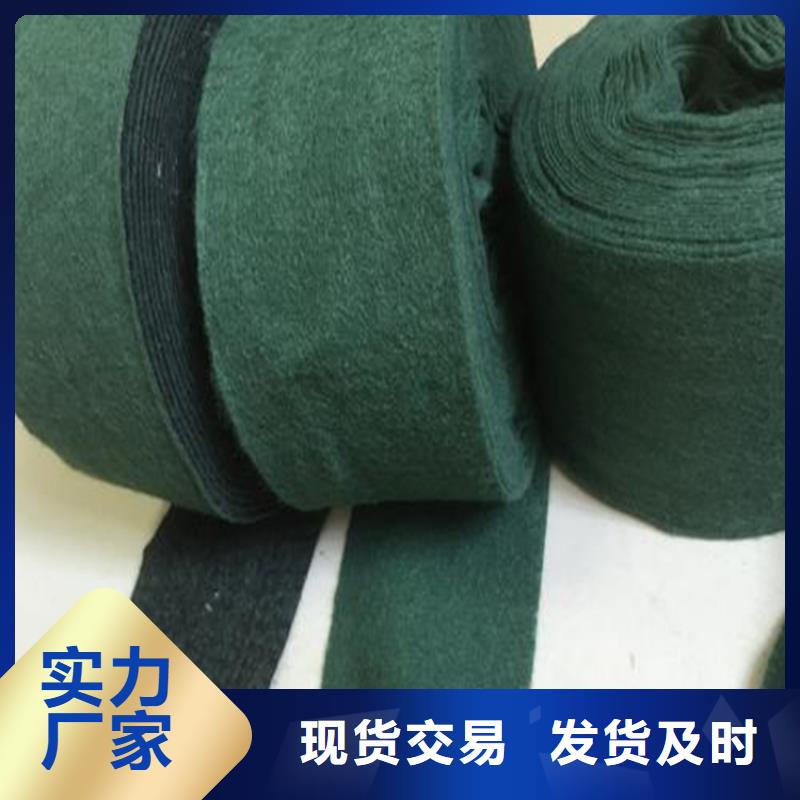 裹树布_防渗膜源头厂家