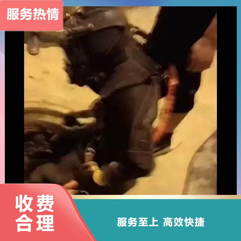 水中电焊承诺守信浪淘沙水工
