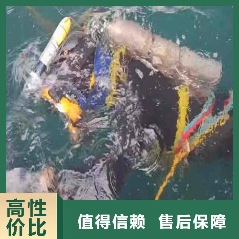 水下作业潜水员服务水下救援机器人快速