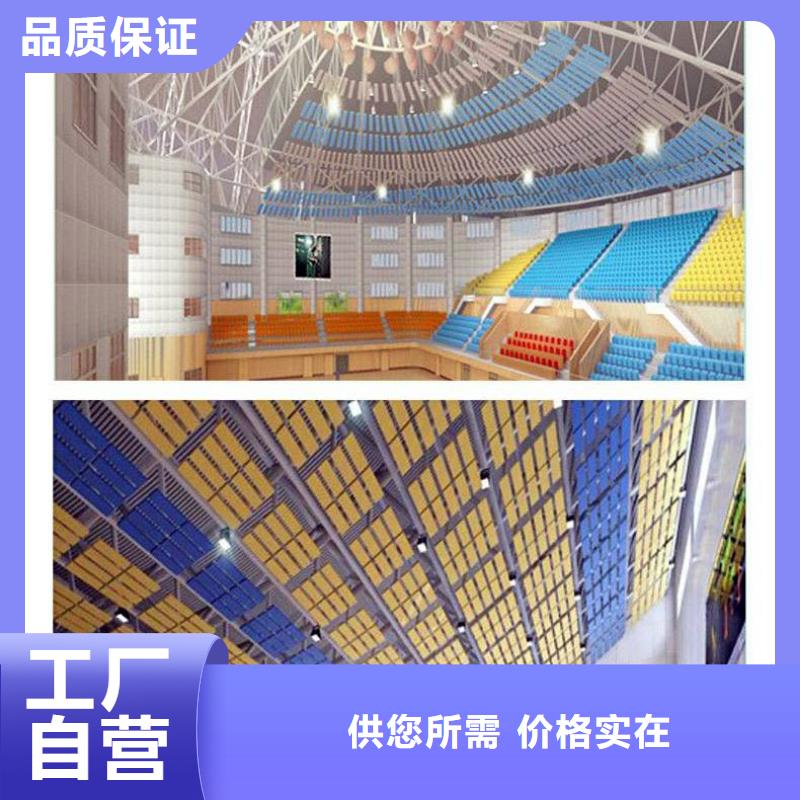 多功能体育馆声学改造