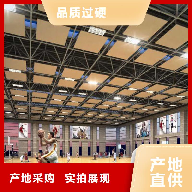 学校体育馆吸音改造方案--2025近方案/价格