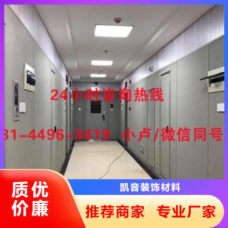 贵港司法警察局防撞吸音板软包