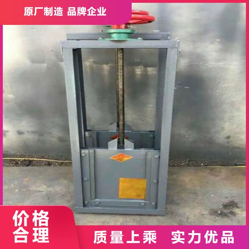 专业销售平面定轮钢制闸门厂家