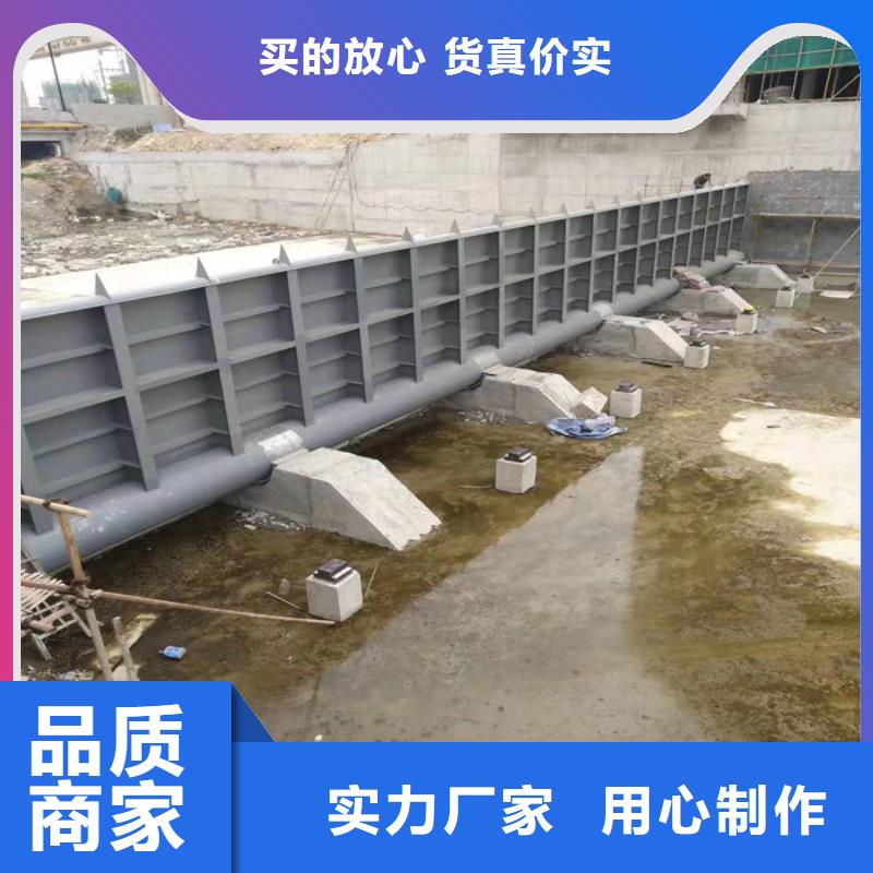 专业销售平面定轮钢制闸门厂家