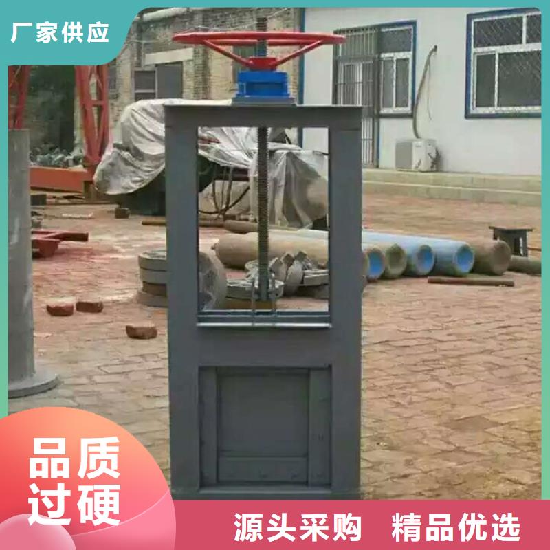 钢制一体闸门设备生产厂家
