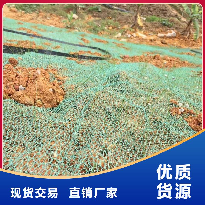 三维植被网_沥青麻絮品质无所畏惧