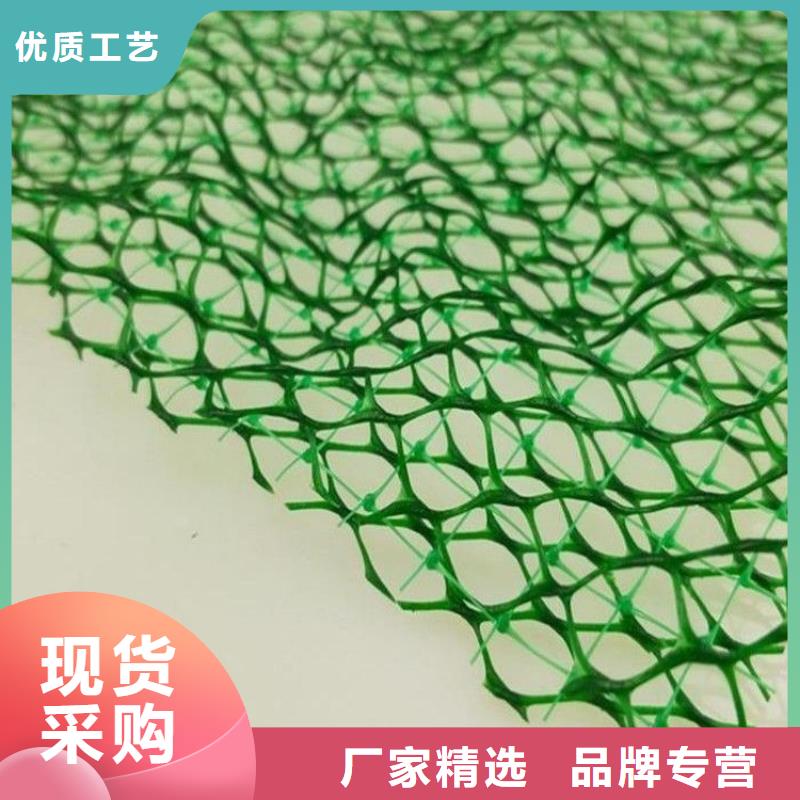 三维植被网-聚乙烯醇纤维定制批发